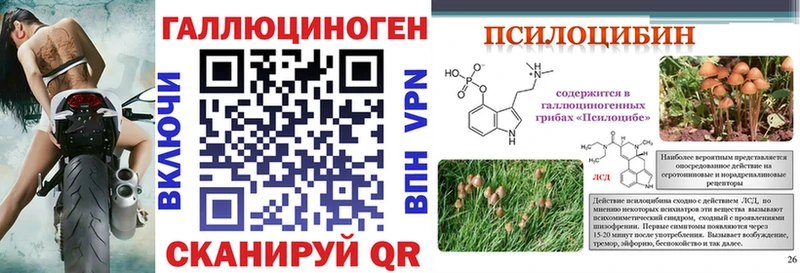 Псилоцибиновые грибы MAGIC MUSHROOMS Краснообск